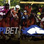 hpi bet login